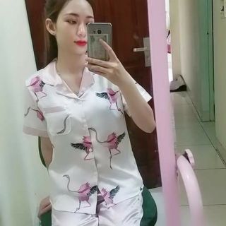 Bộ lụa hạc hàn cao cấp