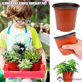 Set 100 Chậu Nhựa Trồng Cây