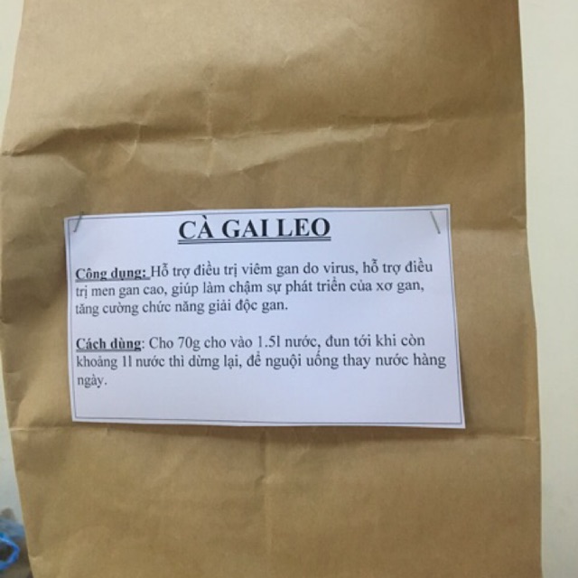 Cà Gai Leo Bắc Giang