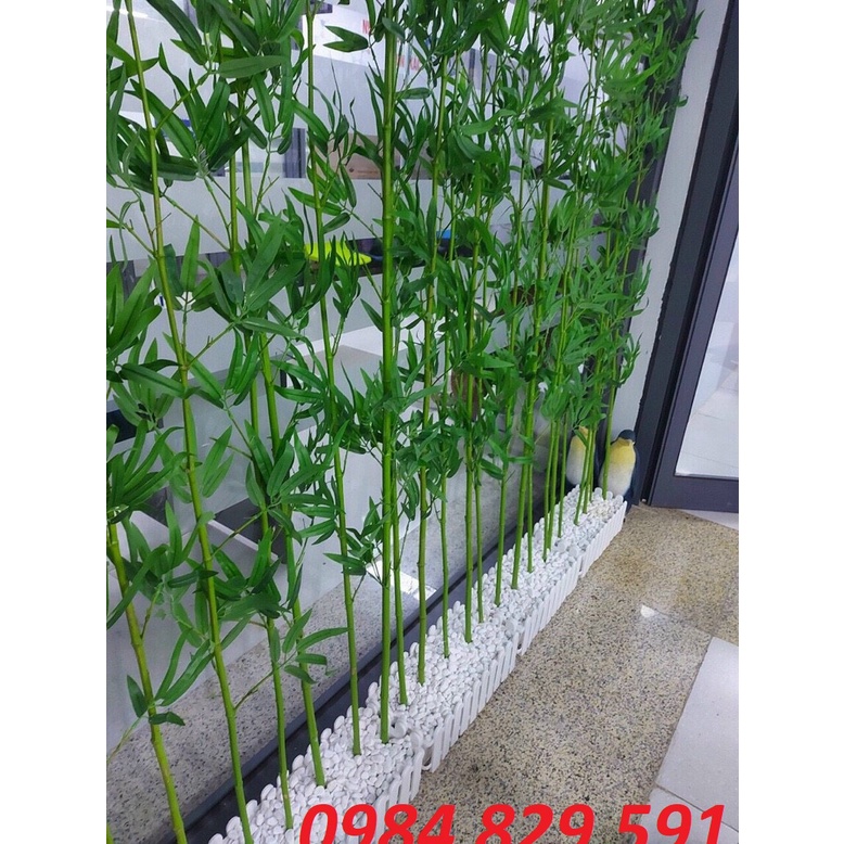 Cây Trúc giả-Cây Trúc Quân Tử 1.5M-2M trang trí nhà cửa,hàng rào (giá 1 cây)