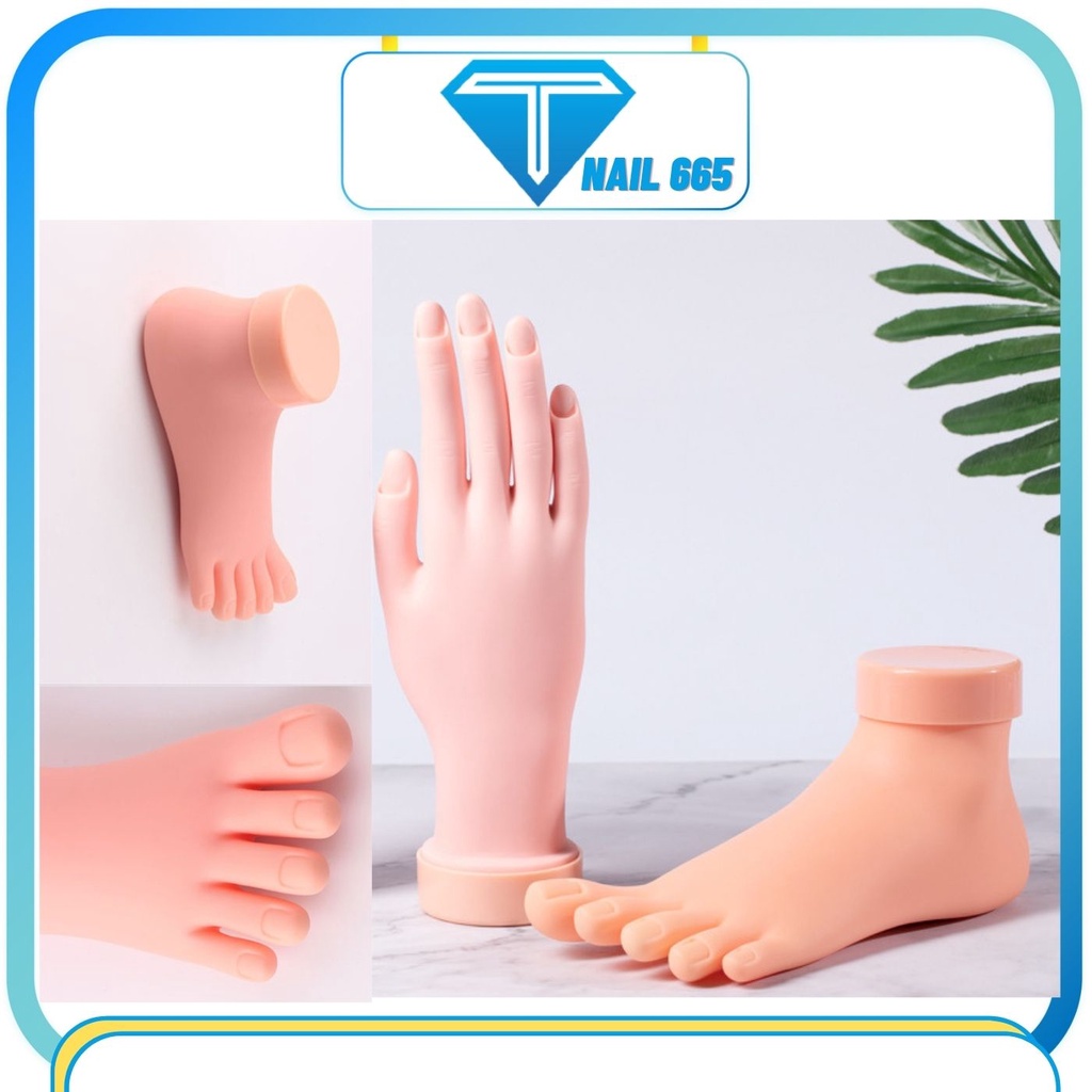Bàn chân giả Silicon làm mẫu nail , Bàn Dò giả chân tập làm nail