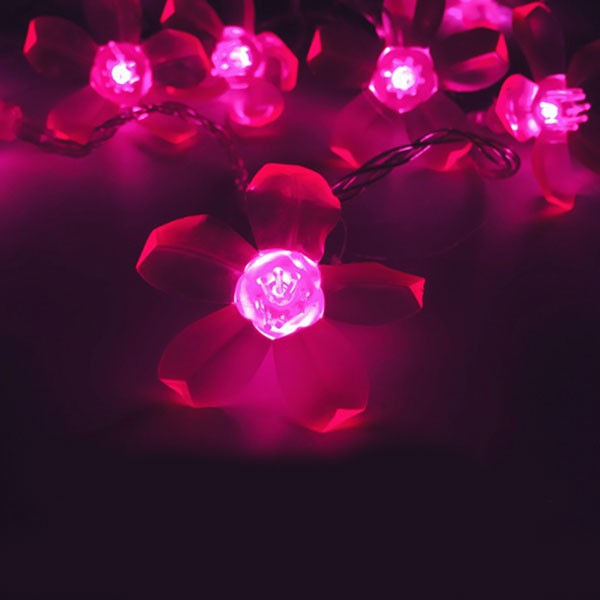 Dây Đèn Led Hoa Mai Hoa Đào 8M-50 Bóng Trang Trí Lễ, Tết ,Party