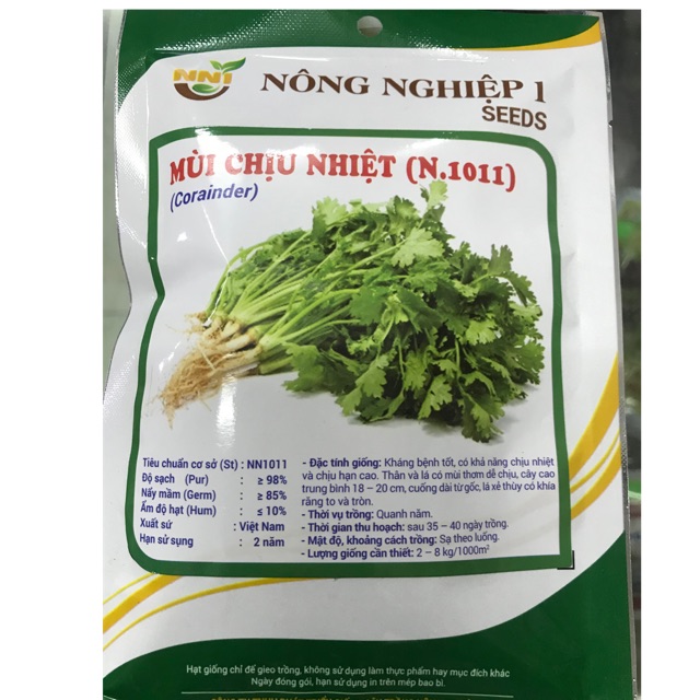 Hạt giống mùi chịu nhiệt- gói 50gr