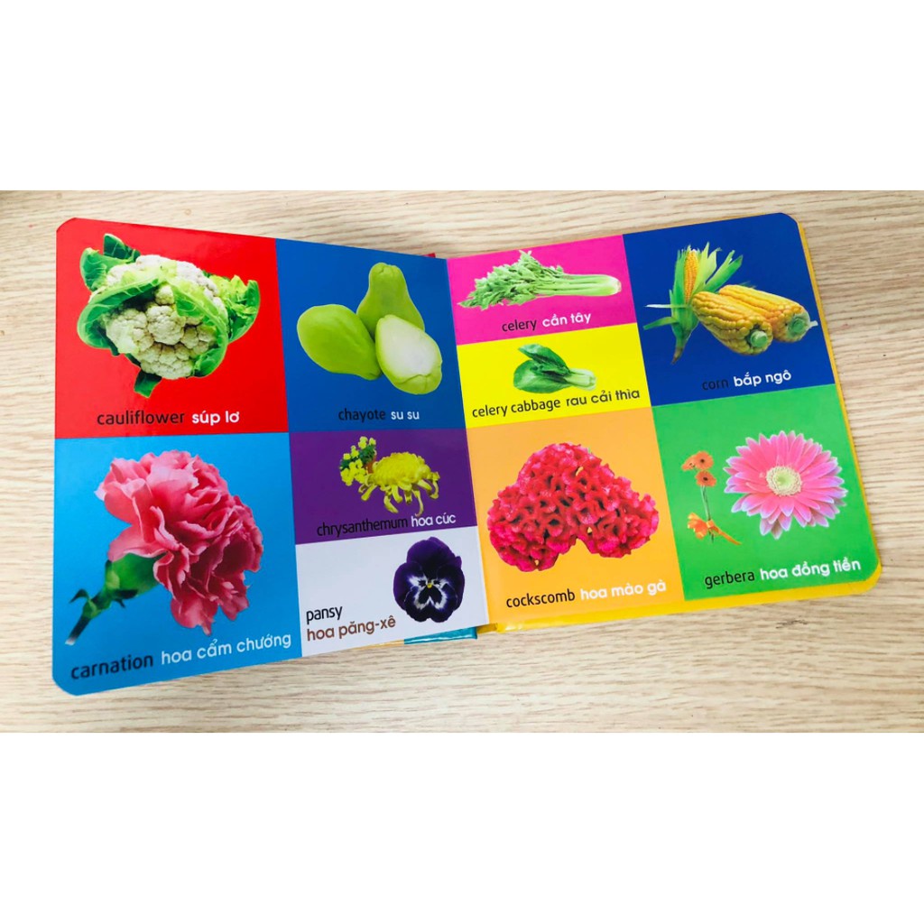 Sách - 101 từ đầu tiên Thực vật - Dành cho trẻ từ 2 đến 7 tuổi