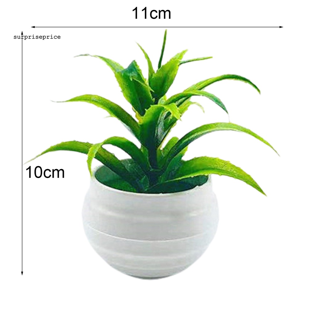 Cây Cảnh Giả Không Phai Màu Trang Trí Nhà Cửa