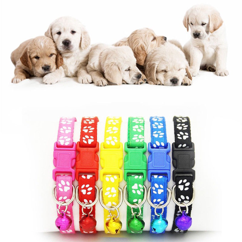Vòng cổ phối chuông cho thú cưng