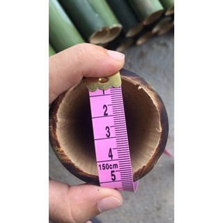 ống nướng thịt dài 20cm