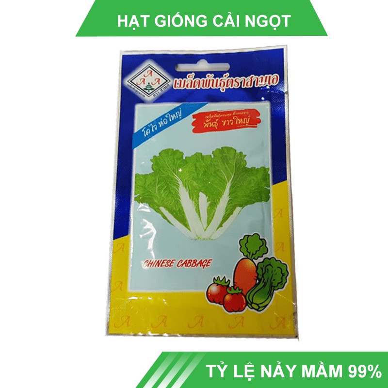 Hạt giống cải Dún Thái Lan
