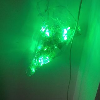 Đèn Led Dây Chớp Nháy - Dây 5m