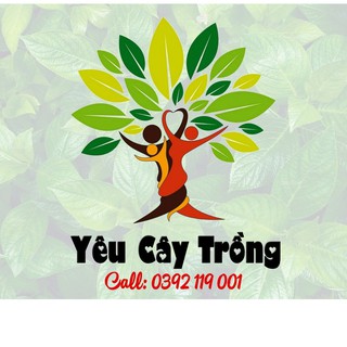 Shop Yêu Cây Trồng 