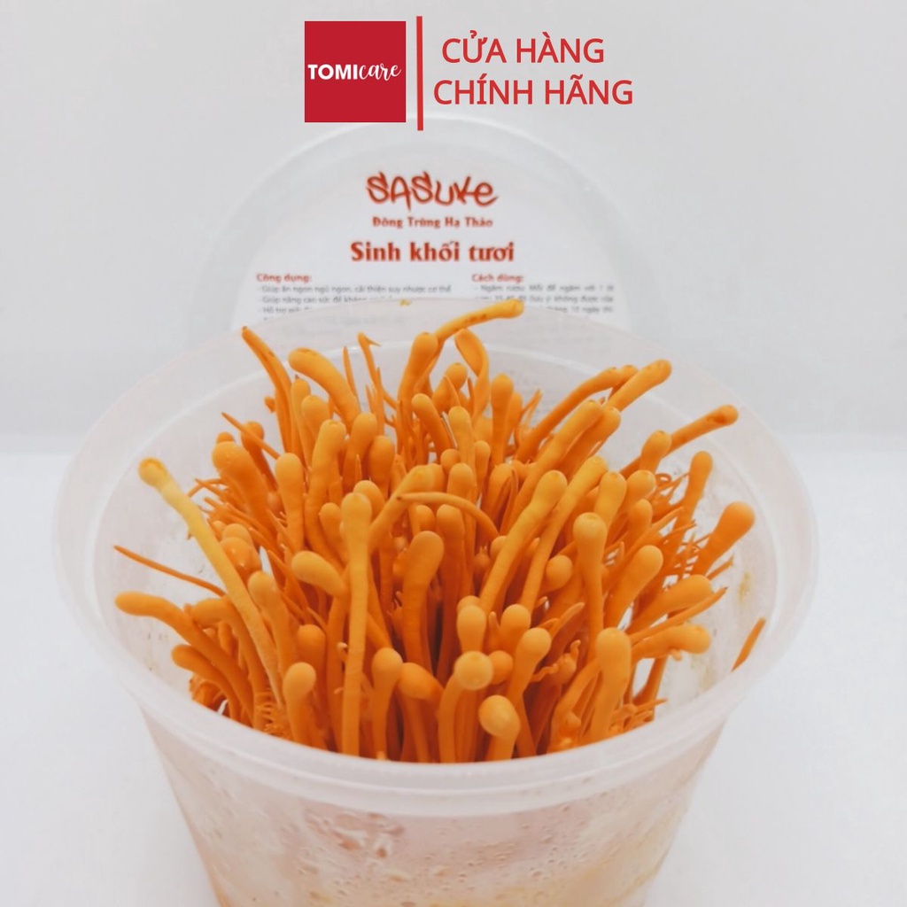 Đông trùng hạ thảo tươi thượng hạng Sasuke 1 đế 150g nuôi cấy tại Đà Lạt tốt cho sức khỏe