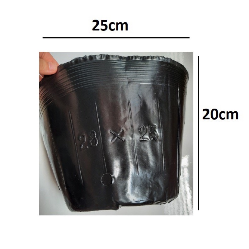 1 kg chậu ươm (bầu) cây 28x 25) hàng dày đẹp