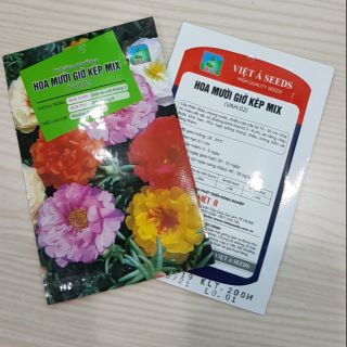 Hạt giống hoa mười giờ kép mix màu