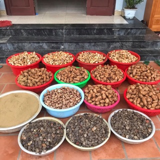 Cốt gừng nghệ hạt gấc (body)