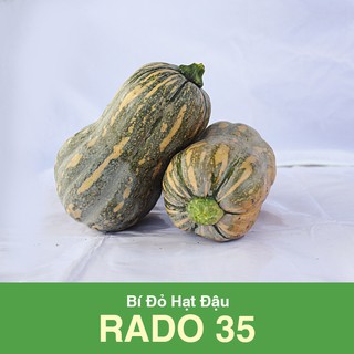 Hạt Giống Bí Đỏ Hồ Lô Dễ Trồng -10 Hạt