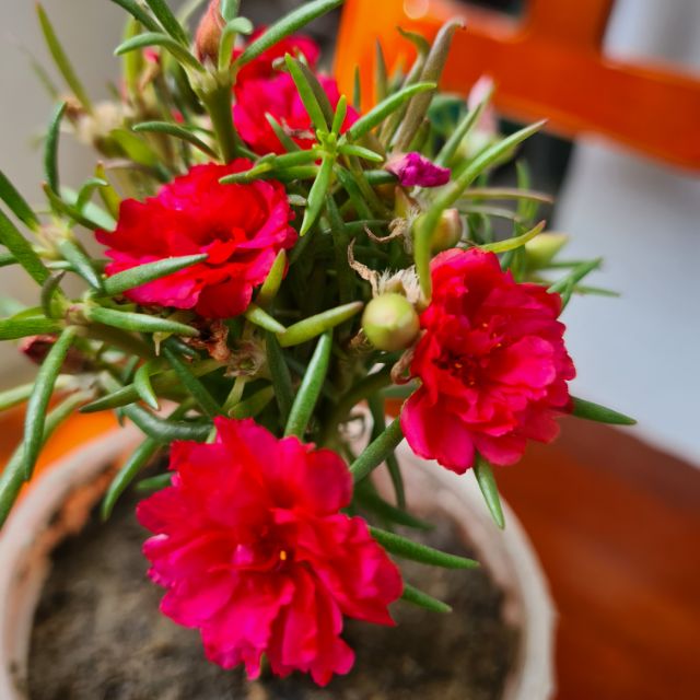 vh1icrev5hnm11r7bmch9qypjaej