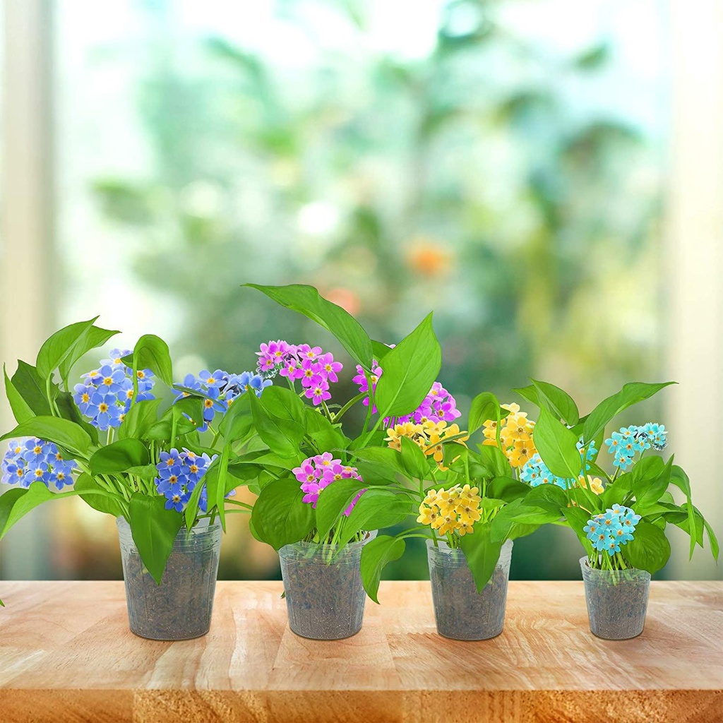 SUYO Chậu Trồng Cây Bằng Nhựa Mềm Trong Suốt