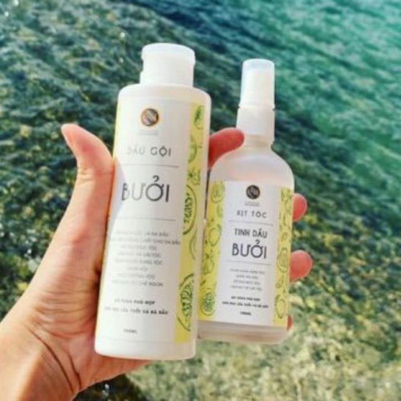 Dầu Gội Bưởi Nga Hoàng 200ml