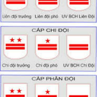 [GIÁ HỦY DIỆT] Cấp hiệu đội