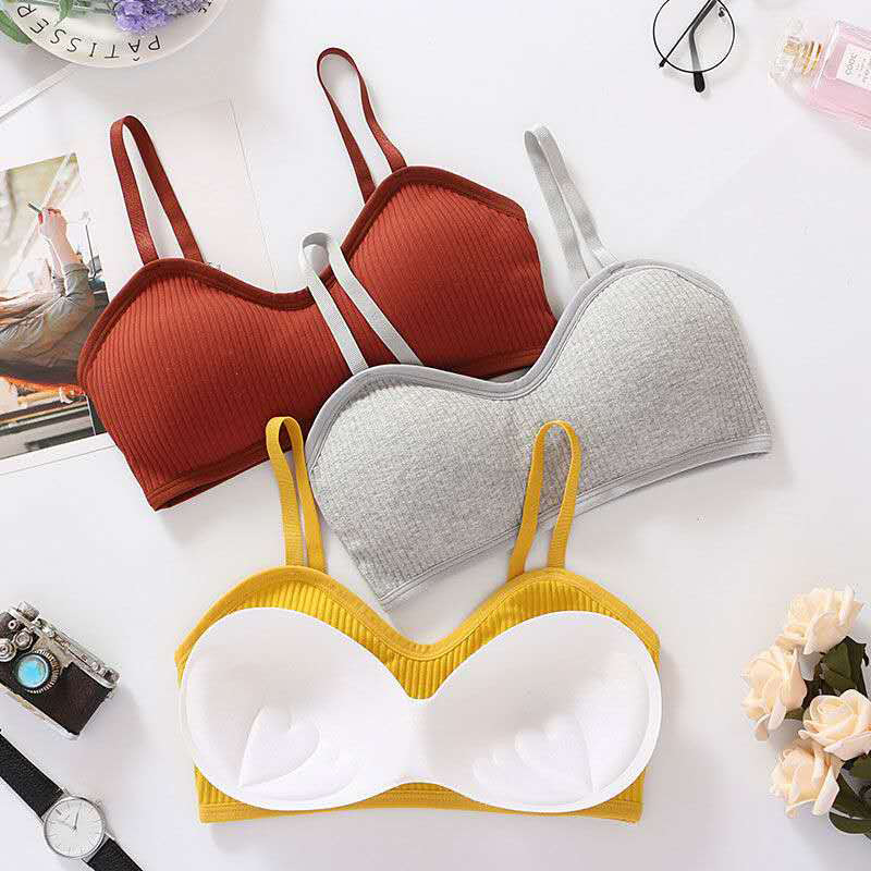 Áo lót thể thao hai dây không gọng phối đệm ngực chống nhìn trộm xinh xắn cho nữ | BigBuy360 - bigbuy360.vn