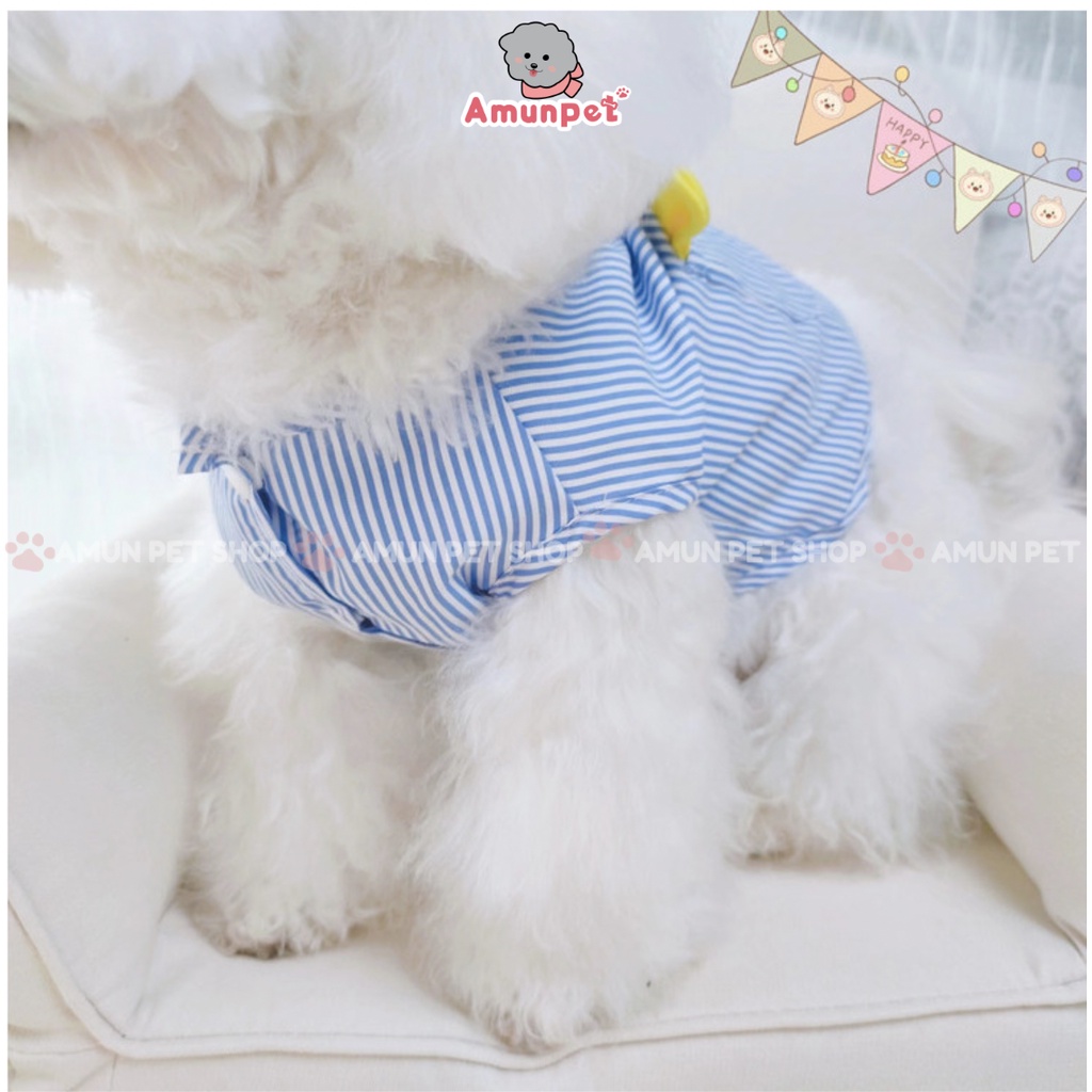 Áo Cho Chó Mèo Mùa Hè Hoạ Tiết Gấu Dễ Thương Chất Mát Quần Áo Thời Trang Thú Cưng Giá Rẻ Amun Pet