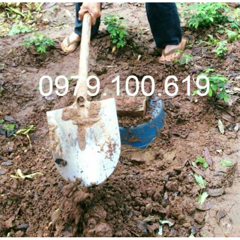 1 lit cốt gừng quế địa liền handmade