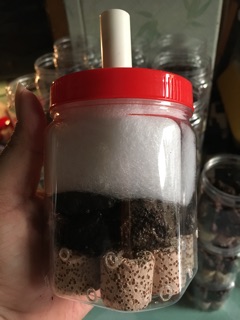 Lọc bio chế (trung)