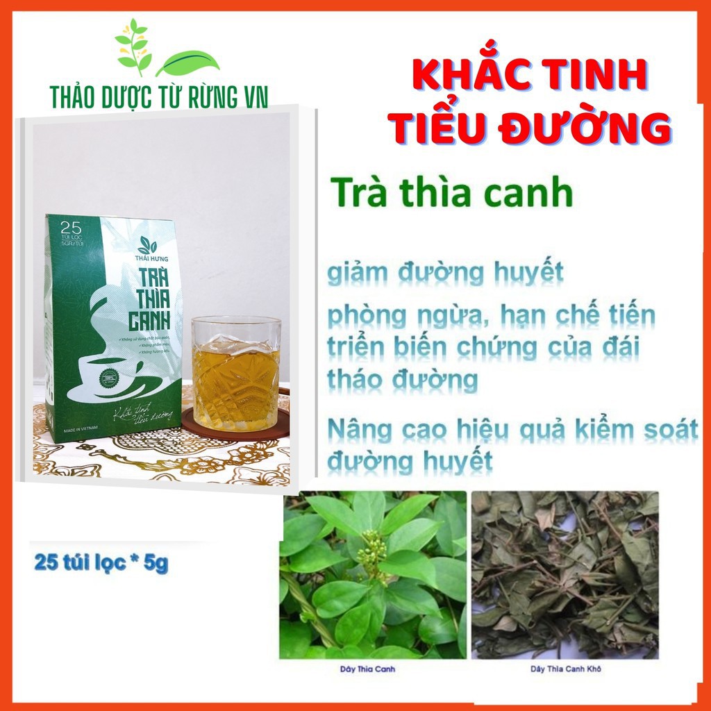 [Mã 267FMCGSALE giảm 8% đơn 500K] Trà Thìa Canh Thái Hưng Khắc Tinh Của Tiểu Đường 25 Túi Lọc 125g Thảo Dược Từ Rừng VN | BigBuy360 - bigbuy360.vn
