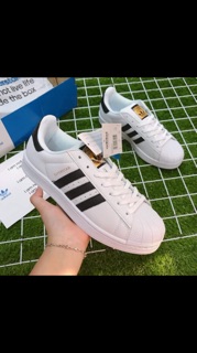 Adidas superstar trắng đen sò