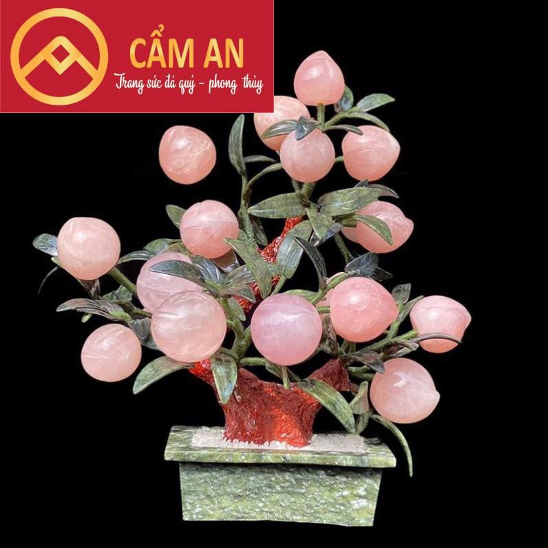 [HÀNG KIỂM ĐỊNH] Cây Đào Tài Lộc Đá TA.Hồng Tự Nhiên 9 - 18 quả