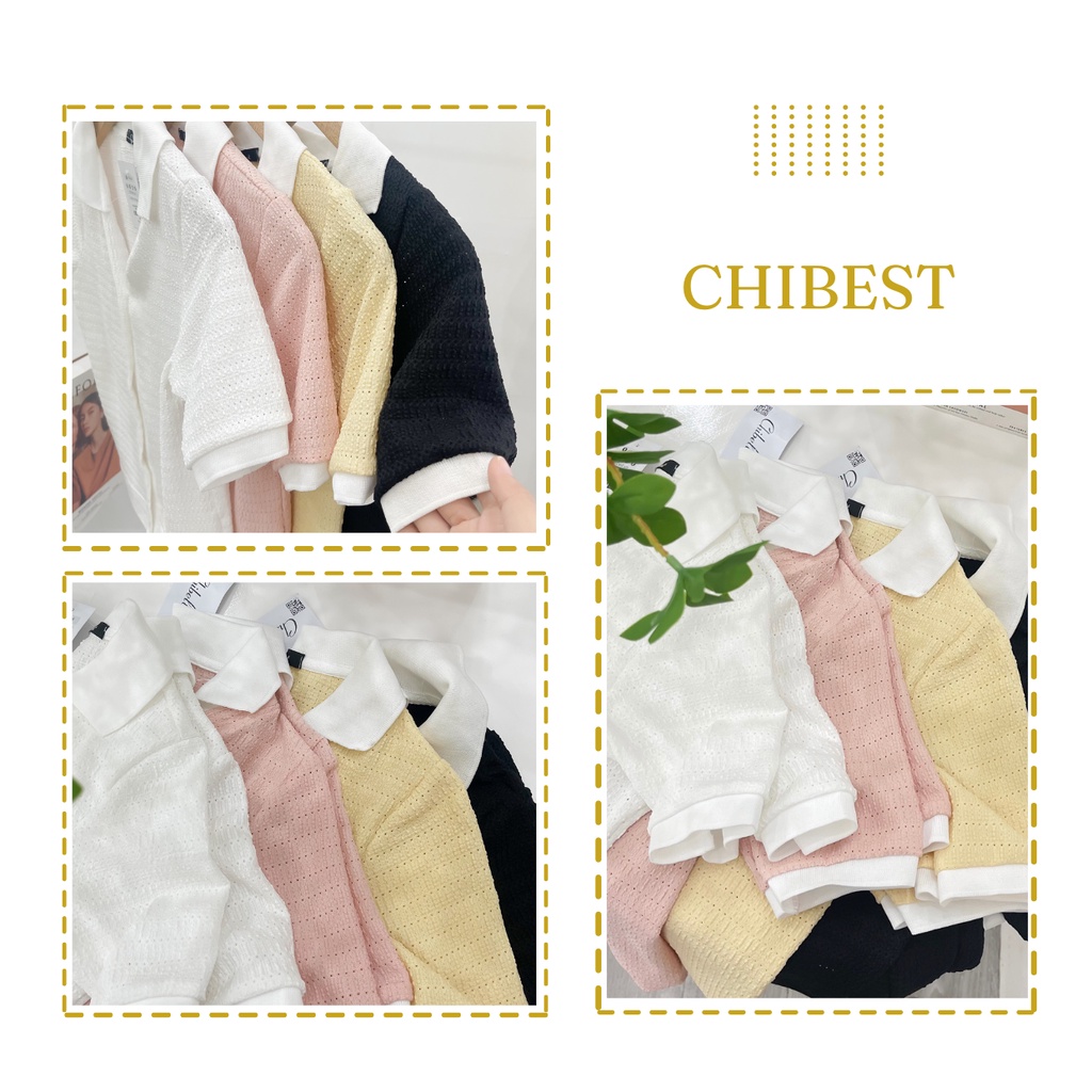 Áo Thun nữ from vừa chất liệu xốp rổ gài nút phối cổ trắng CHIBEST LAB79