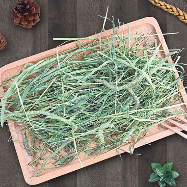 500g cỏ khô timothy xanh mát bổ dưỡng cho Thỏ-Bọ Ú-Guinea pig