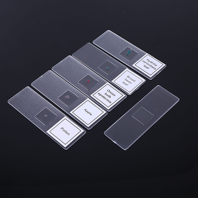 Bộ kính hiển vi phóng to 1200X đồ chơi cho bé