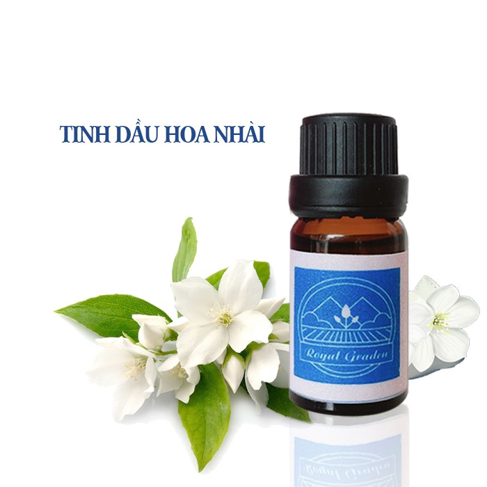 Tinh dầu hoa nhài làm thơm phòng dung tích 10ml