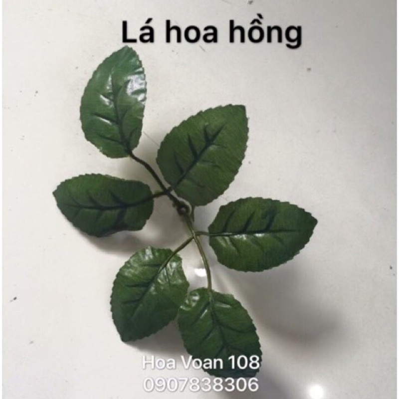 100 gram Lá hoa hồng, Lá lyly