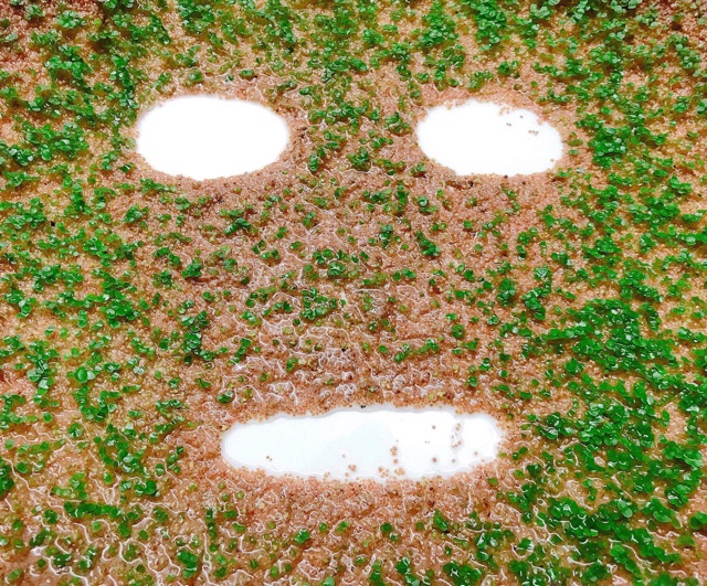 Son  𝟑𝐂𝐄 Cloud Lip Tint 2019 | BigBuy360 - bigbuy360.vn