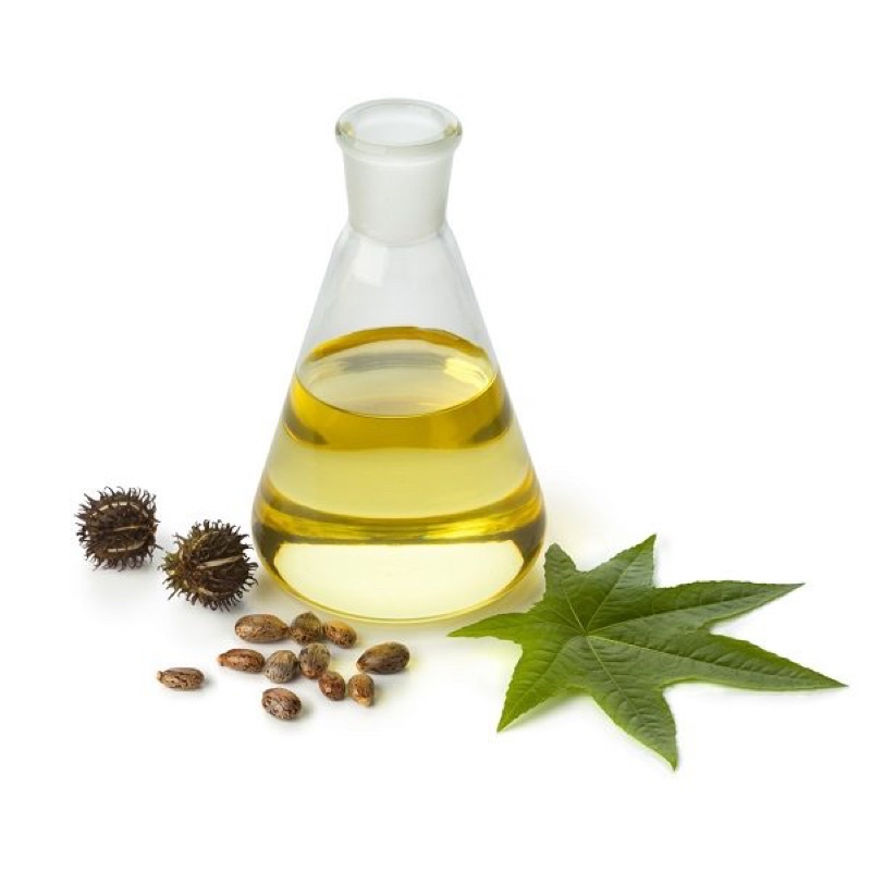 Dầu thầu dầu nguyên chất 100% - Castor Oil Organic 10ml-50ml | Bột Natural | BigBuy360 - bigbuy360.vn