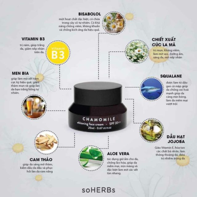 KEM DƯỠNG TÁI TẠO DA CHAMOMILE WHITENING CREAM SOHERBS (20ML)