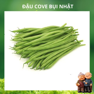 Hạt giống đậu cove bụi lùn