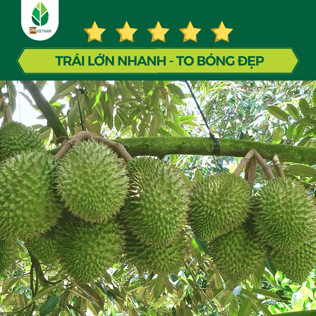 Phân Bón Lớn Trái Hữu Cơ - Trái Lớn Nhanh - Bông To Dài - Trái To Bóng - PH Việt Nam