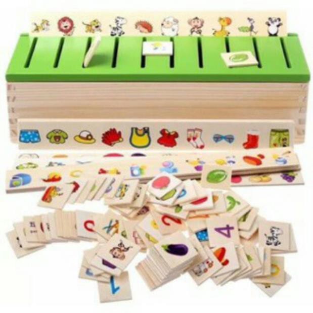 Hộp phân loại nhiều chủ đề - Giáo cụ Montessori