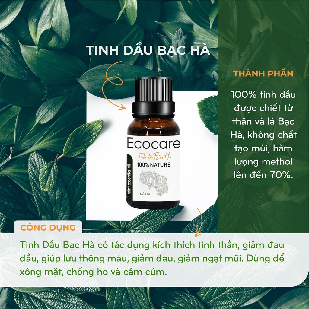 Tinh Dầu Bạc Hà Nguyên Chất 100% ECOCARE - Chai 10ml