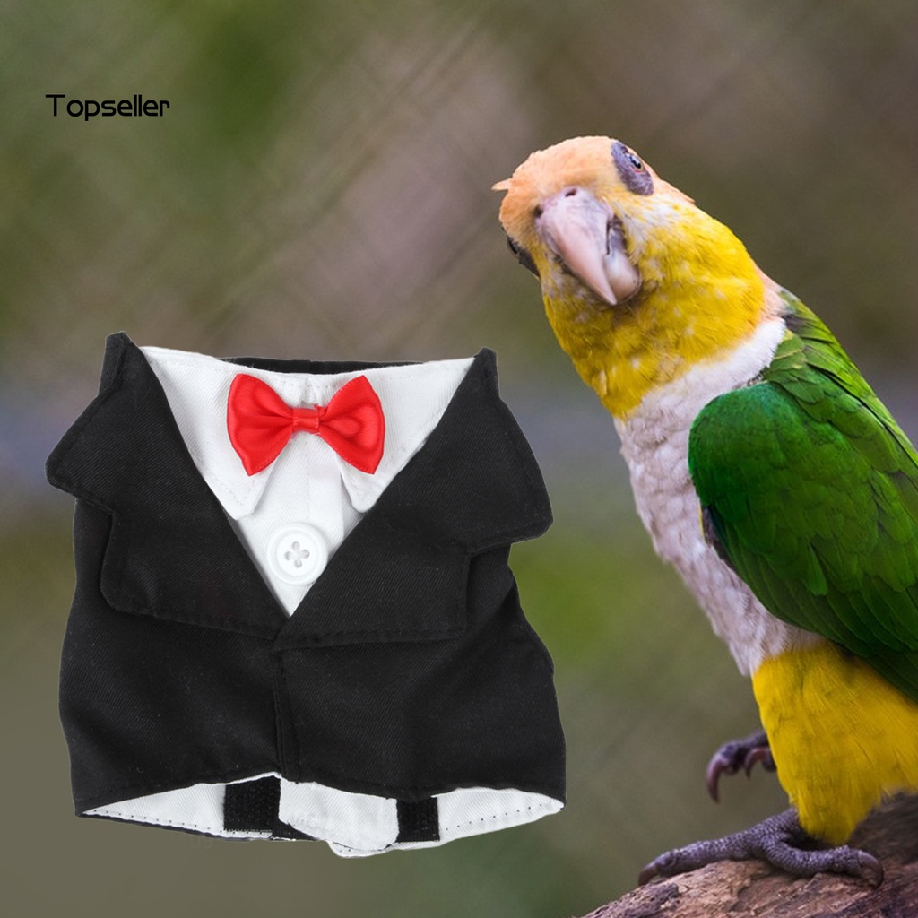 Áo Khoác Lông Vũ / Nơ Cổ Mini Dễ Thương Cho Chim Vẹt Chơi