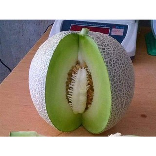 Hạt giống Dưa lưới xanh