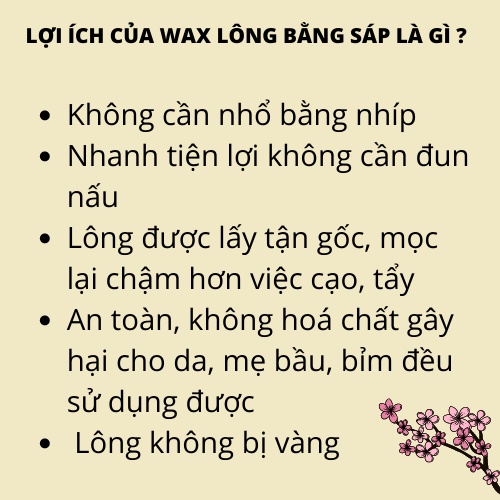 Sáp wax lông shiny wax lông nách wax lạnh was lông mật ong wax combo triệt lông an toàn 250gr
