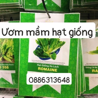 Xà lách Romaine (2g)