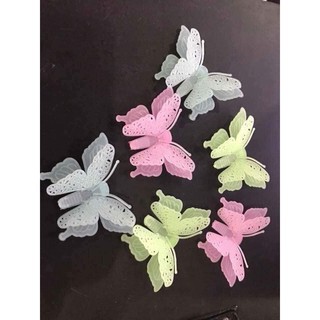 BƯỚM PHÁT SÁNG DẠ QUANG.