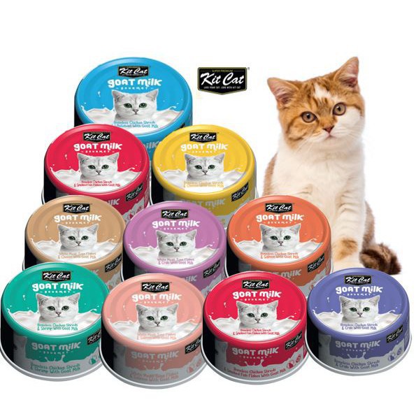 Combo 12 lon pate sữa dê Kit Cat 70g