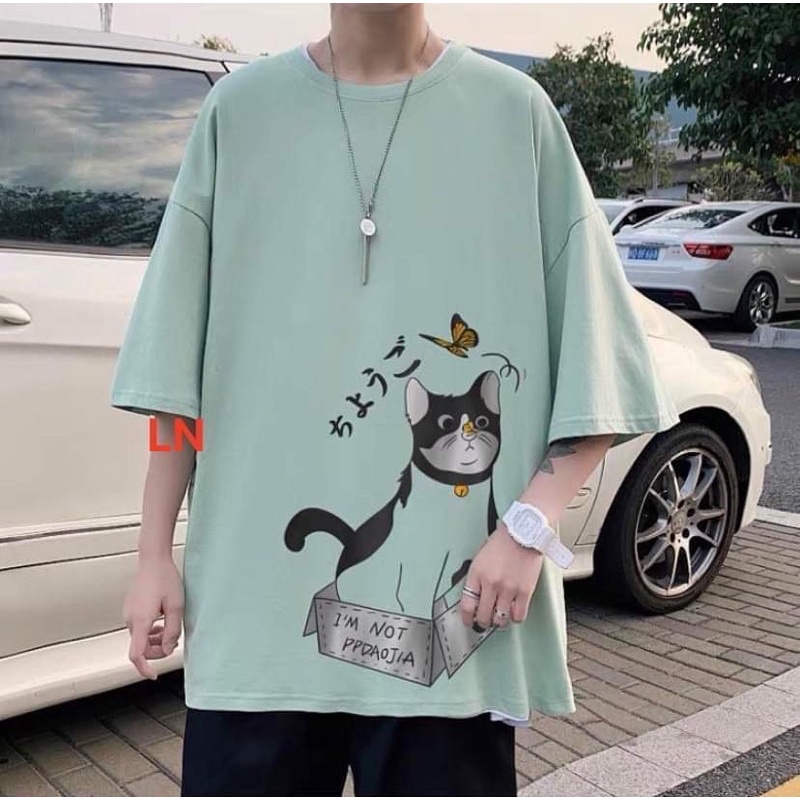 Áo phông mèo bướm chữ tàu DA6