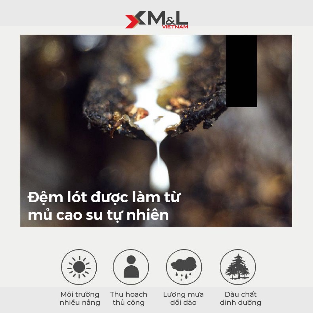 Chiếu điều hòa cao su non kèm 2 áo gối - vải lụa Nano Tencel Latex M&L CM1 - Xanh da trời/Ghi/Hồng